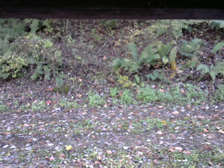 長野県菅平高原 ゆたか山荘 南側 2025/10/17 14:30