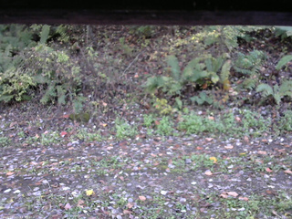 長野県菅平高原 ゆたか山荘 南側 2025/10/17 14:45