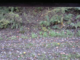 長野県菅平高原 ゆたか山荘 南側 2025/10/17 15:00