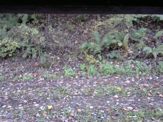 長野県菅平高原 ゆたか山荘 南側 2025/10/17 15:30