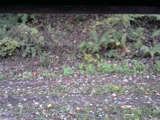 長野県菅平高原 ゆたか山荘 南側 2025/10/17 17:00