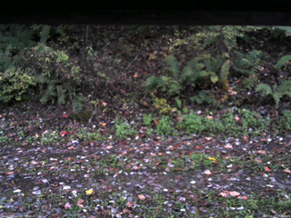 長野県菅平高原 ゆたか山荘 南側 2025/10/17 17:15