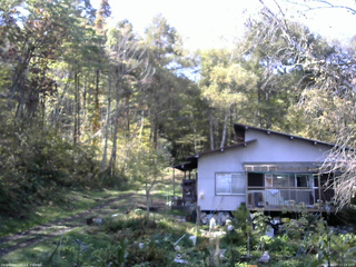 長野県菅平高原 ゆたか山荘 西側(坂上) 2025/10/17 12:15
