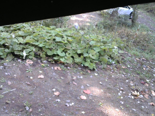 長野県菅平高原 ゆたか山荘 駐車場 2025/10/17 10:45