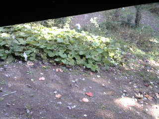 長野県菅平高原 ゆたか山荘 駐車場 2025/10/17 12:00