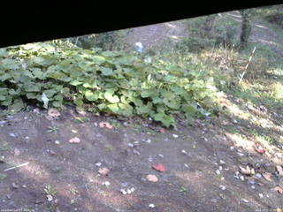 長野県菅平高原 ゆたか山荘 駐車場 2025/10/17 12:45