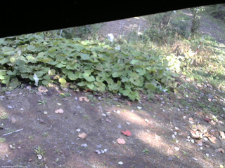 長野県菅平高原 ゆたか山荘 駐車場 2025/10/17 13:00