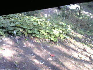 長野県菅平高原 ゆたか山荘 駐車場 2025/10/17 13:30