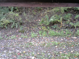 長野県菅平高原 ゆたか山荘 南側 2025/10/18 08:00