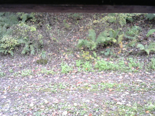 長野県菅平高原 ゆたか山荘 南側 2025/10/18 14:15