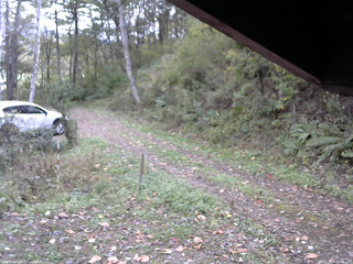 長野県菅平高原 ゆたか山荘 東側(坂下) 2025/10/18 10:30