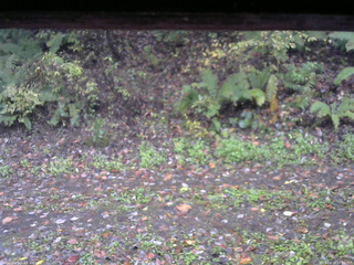 長野県菅平高原 ゆたか山荘 南側 2025/10/19 07:15