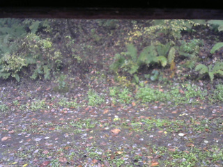 長野県菅平高原 ゆたか山荘 南側 2025/10/19 08:00