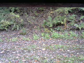 長野県菅平高原 ゆたか山荘 南側 2025/10/19 14:15