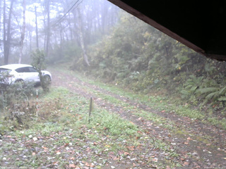 長野県菅平高原 ゆたか山荘 東側(坂下) 2025/10/19 09:15
