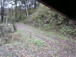 長野県菅平高原 ゆたか山荘 東側(坂下) 2025/10/19 10:45
