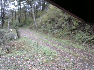 長野県菅平高原 ゆたか山荘 東側(坂下) 2025/10/19 11:15