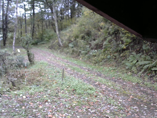 長野県菅平高原 ゆたか山荘 東側(坂下) 2025/10/19 11:30
