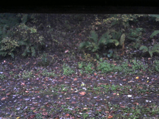 長野県菅平高原 ゆたか山荘 南側 2025/10/20 06:15