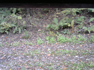 長野県菅平高原 ゆたか山荘 南側 2025/10/20 10:30