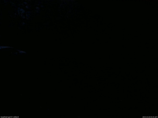 長野県菅平高原 ゆたか山荘 東側(坂下) 2025/10/20 05:45