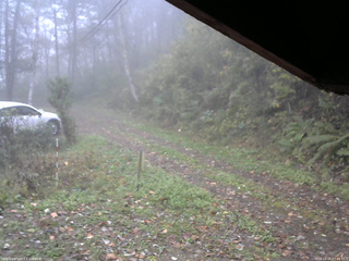 長野県菅平高原 ゆたか山荘 東側(坂下) 2025/10/20 07:45