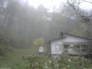 長野県菅平高原 ゆたか山荘 西側(坂上) 2025/10/20 09:00