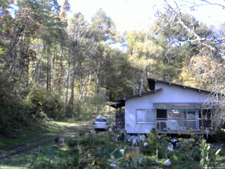 長野県菅平高原 ゆたか山荘 西側(坂上) 2025/10/20 11:30