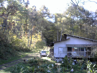 長野県菅平高原 ゆたか山荘 西側(坂上) 2025/10/20 13:30