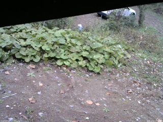 長野県菅平高原 ゆたか山荘 駐車場 2025/10/20 10:00