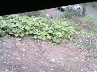 長野県菅平高原 ゆたか山荘 駐車場 2025/10/20 10:30