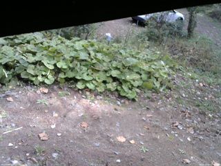 長野県菅平高原 ゆたか山荘 駐車場 2025/10/20 11:15