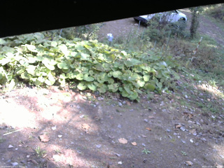 長野県菅平高原 ゆたか山荘 駐車場 2025/10/20 11:30