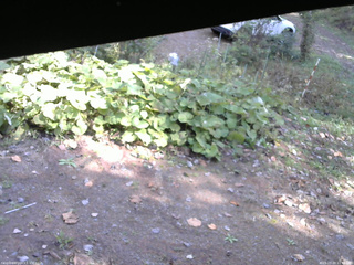 長野県菅平高原 ゆたか山荘 駐車場 2025/10/20 11:45