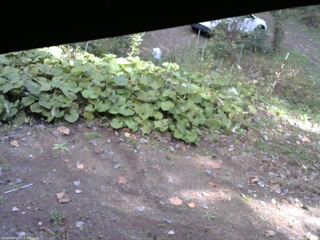 長野県菅平高原 ゆたか山荘 駐車場 2025/10/20 12:00