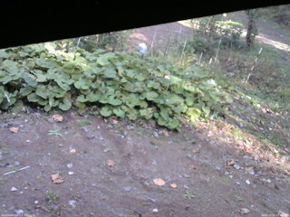 長野県菅平高原 ゆたか山荘 駐車場 2025/10/20 13:45