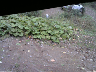 長野県菅平高原 ゆたか山荘 駐車場 2025/10/20 15:45