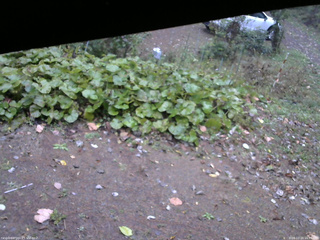 長野県菅平高原 ゆたか山荘 駐車場 2025/10/20 16:45