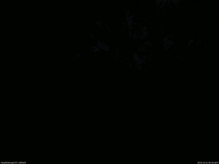 長野県菅平高原 ゆたか山荘 北側 2025/10/21 05:30
