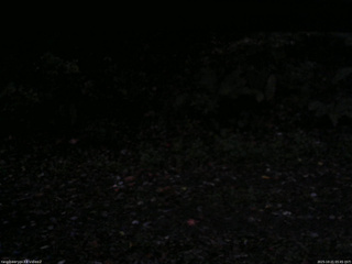 長野県菅平高原 ゆたか山荘 南側 2025/10/21 05:45