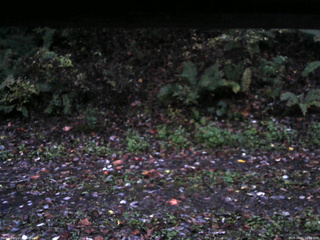 長野県菅平高原 ゆたか山荘 南側 2025/10/21 06:00