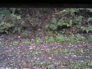 長野県菅平高原 ゆたか山荘 南側 2025/10/21 06:15