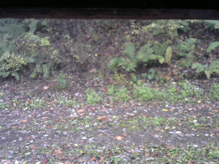 長野県菅平高原 ゆたか山荘 南側 2025/10/21 06:45