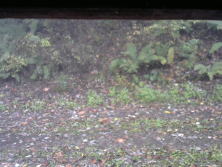 長野県菅平高原 ゆたか山荘 南側 2025/10/21 07:00