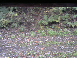 長野県菅平高原 ゆたか山荘 南側 2025/10/21 07:15