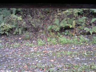 長野県菅平高原 ゆたか山荘 南側 2025/10/21 07:30