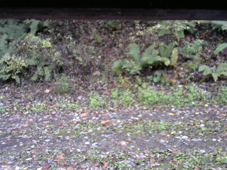 長野県菅平高原 ゆたか山荘 南側 2025/10/21 07:45