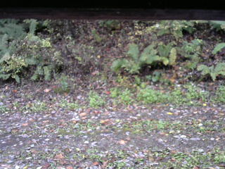 長野県菅平高原 ゆたか山荘 南側 2025/10/21 08:00