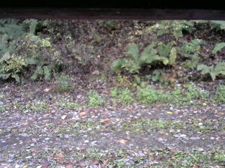 長野県菅平高原 ゆたか山荘 南側 2025/10/21 08:15