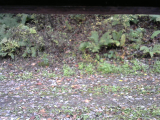 長野県菅平高原 ゆたか山荘 南側 2025/10/21 08:30